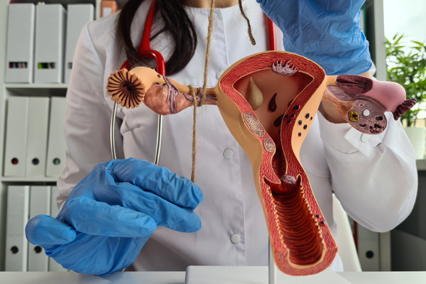 Tubal Ligation Reversal