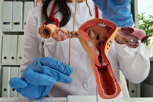 Tubal Ligation Reversal